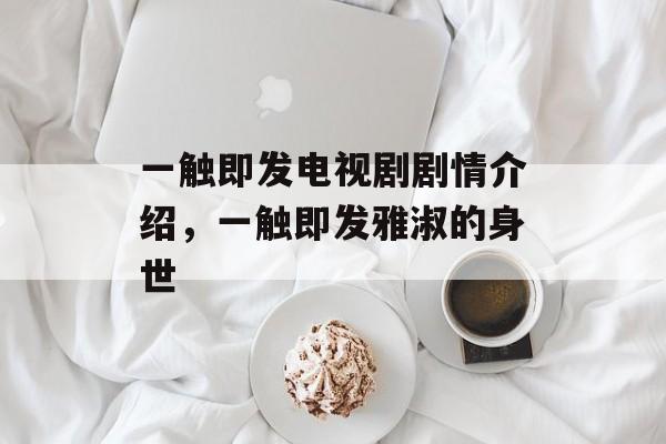 一触即发电视剧剧情介绍，一触即发雅淑的身世-第1张图片-