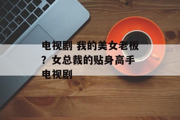 电视剧 我的美女老板？女总裁的贴身高手 电视剧-第1张图片-