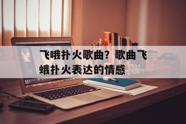 飞哦扑火歌曲？歌曲飞蛾扑火表达的情感-第1张图片-