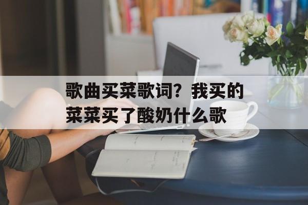 歌曲买菜歌词？我买的菜菜买了酸奶什么歌-第1张图片-