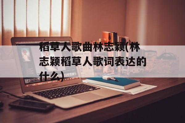 稻草人歌曲林志颖(林志颖稻草人歌词表达的什么)-第1张图片-