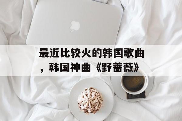 最近比较火的韩国歌曲，韩国神曲《野蔷薇》-第1张图片-