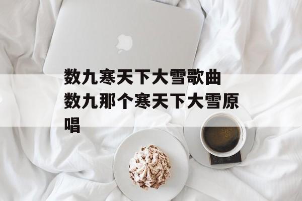 数九寒天下大雪歌曲 数九那个寒天下大雪原唱-第1张图片-
