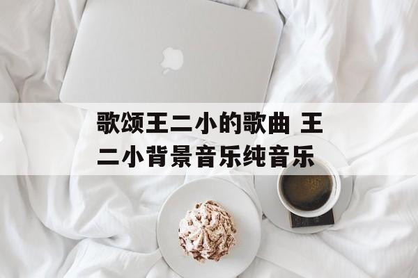 歌颂王二小的歌曲 王二小背景音乐纯音乐-第1张图片-