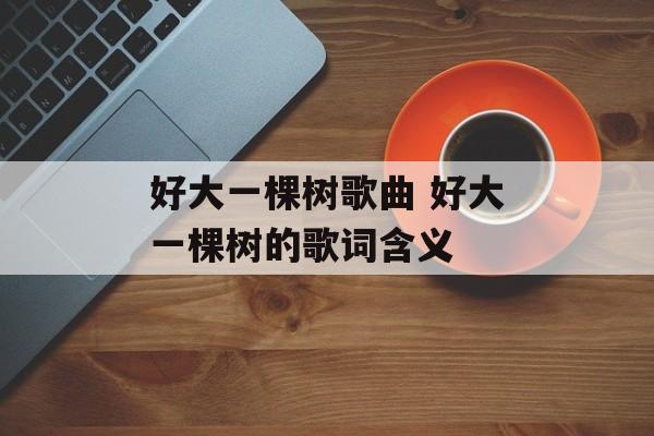 好大一棵树歌曲 好大一棵树的歌词含义-第1张图片-