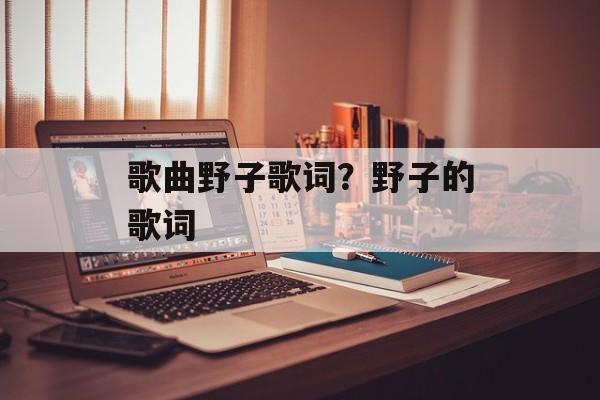 歌曲野子歌词？野子的歌词-第1张图片-