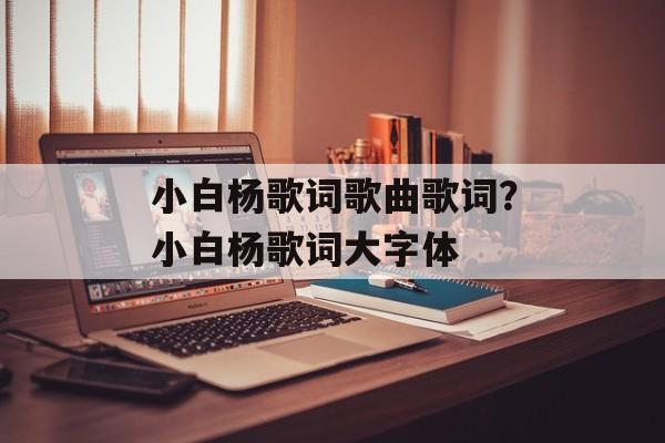 小白杨歌词歌曲歌词？小白杨歌词大字体-第1张图片-