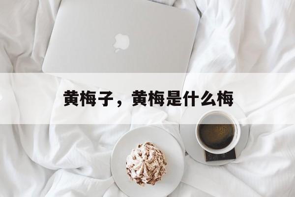 黄梅子，黄梅是什么梅-第1张图片-