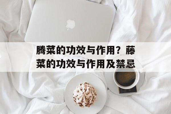 腾菜的功效与作用？藤菜的功效与作用及禁忌-第1张图片-