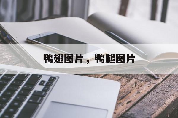 鸭翅图片，鸭腿图片-第1张图片-