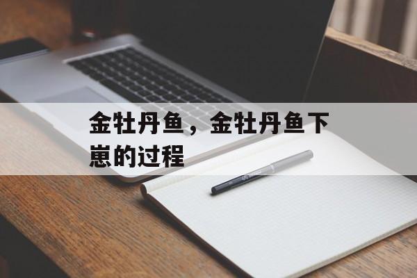 金牡丹鱼，金牡丹鱼下崽的过程-第1张图片-