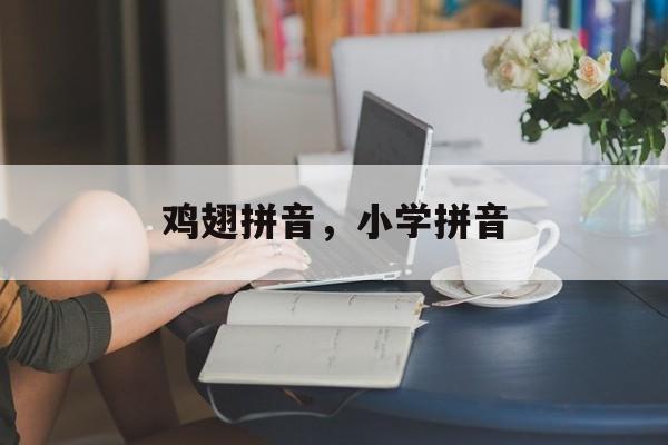 鸡翅拼音，小学拼音-第1张图片-