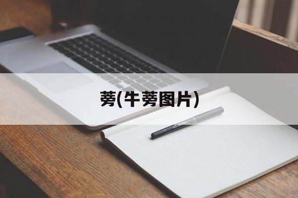 蒡(牛蒡图片)-第1张图片-