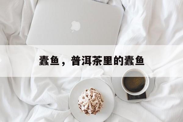 蠹鱼，普洱茶里的蠹鱼-第1张图片-