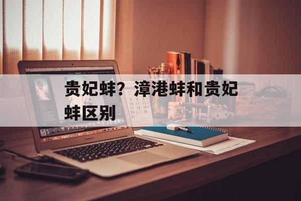 贵妃蚌？漳港蚌和贵妃蚌区别-第1张图片-
