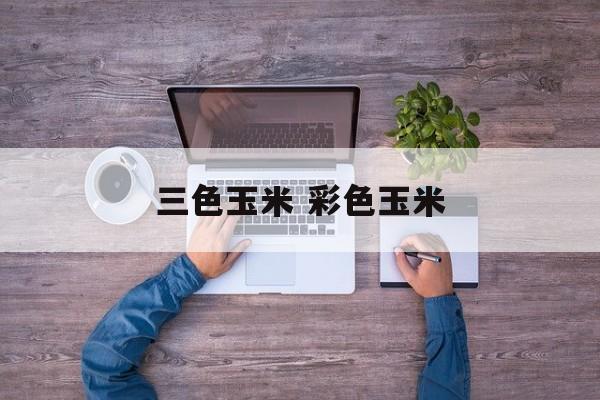 三色玉米 彩色玉米-第1张图片-