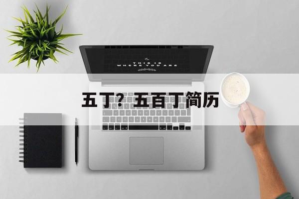 五丁？五百丁简历-第1张图片-