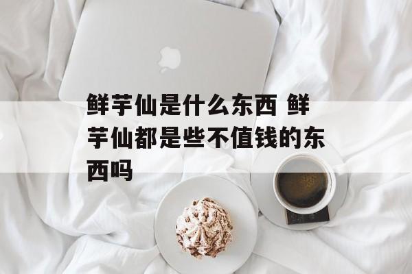 鲜芋仙是什么东西 鲜芋仙都是些不值钱的东西吗-第1张图片-