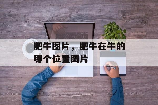 肥牛图片，肥牛在牛的哪个位置图片-第1张图片-