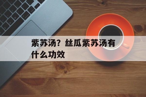 紫苏汤？丝瓜紫苏汤有什么功效-第1张图片-