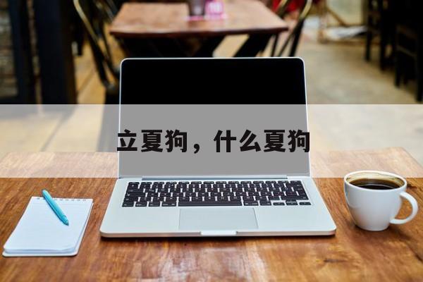 立夏狗，什么夏狗-第1张图片-