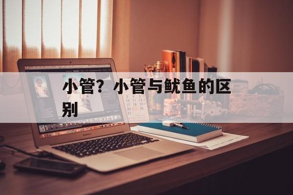 小管？小管与鱿鱼的区别-第1张图片-