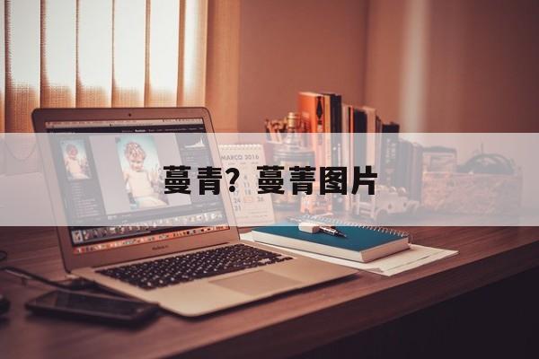 蔓青？蔓菁图片-第1张图片-