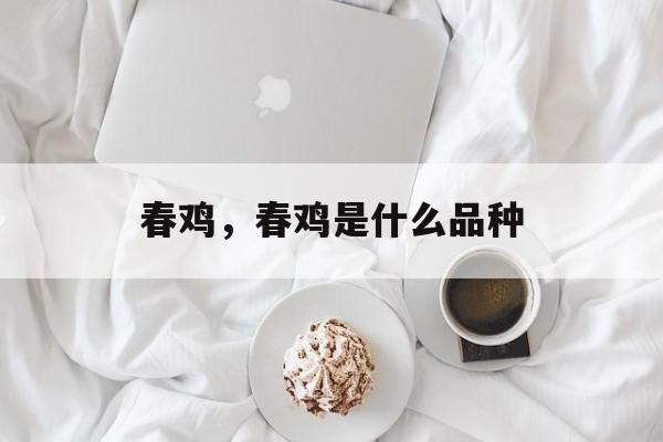 春鸡，春鸡是什么品种-第1张图片-