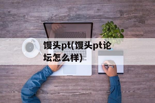 馒头pt(馒头pt论坛怎么样)-第1张图片-