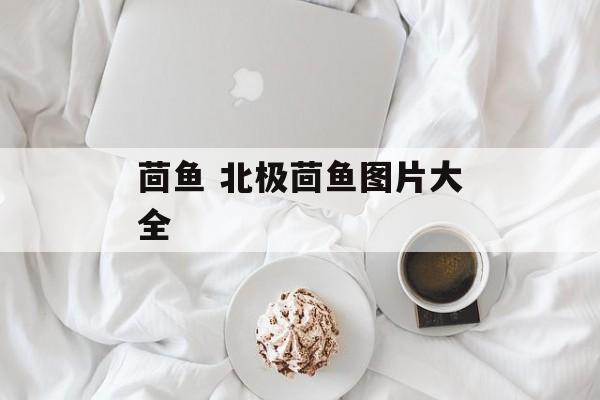茴鱼 北极茴鱼图片大全-第1张图片-