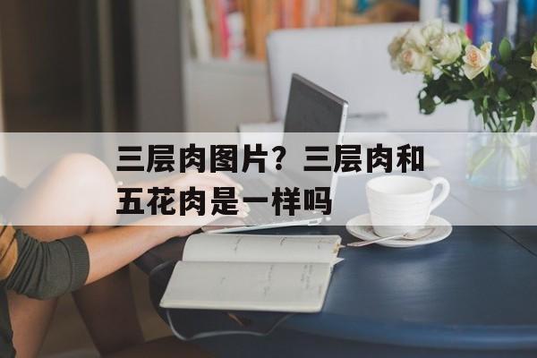 三层肉图片？三层肉和五花肉是一样吗-第1张图片-