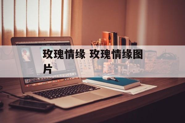 玫瑰情缘 玫瑰情缘图片-第1张图片-