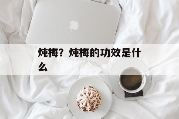 炖梅？炖梅的功效是什么-第1张图片-