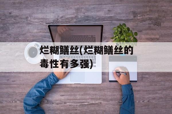 烂糊鳝丝(烂糊鳝丝的毒性有多强)-第1张图片-
