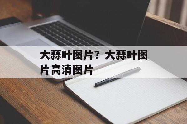 大蒜叶图片？大蒜叶图片高清图片-第1张图片-