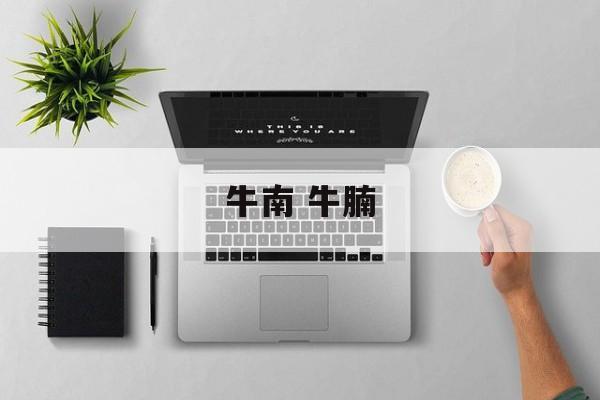 牛南 牛腩-第1张图片-