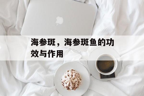 海参斑，海参斑鱼的功效与作用-第1张图片-