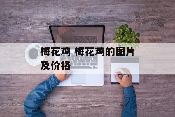 梅花鸡 梅花鸡的图片及价格-第1张图片-