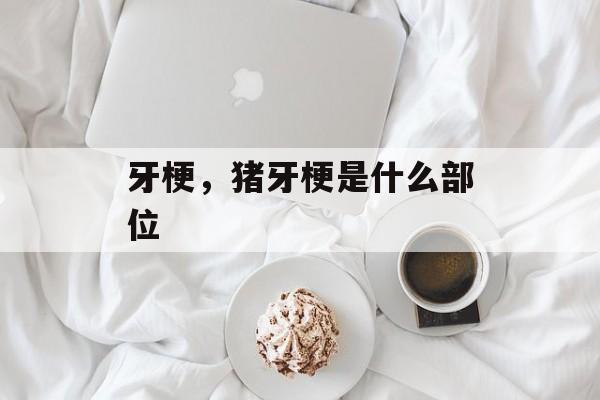 牙梗，猪牙梗是什么部位-第1张图片-