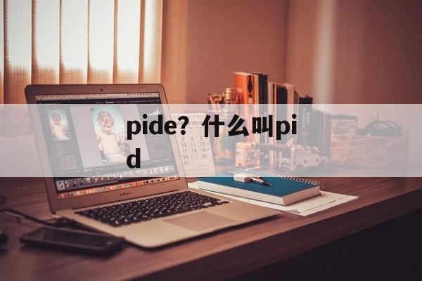 pide？什么叫pid-第1张图片-
