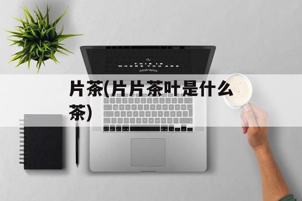 片茶(片片茶叶是什么茶)-第1张图片-
