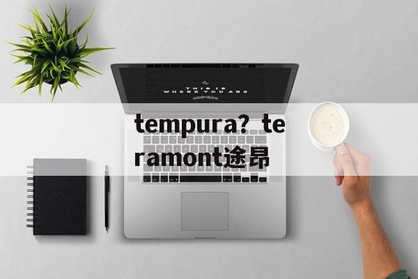 tempura？teramont途昂-第1张图片-