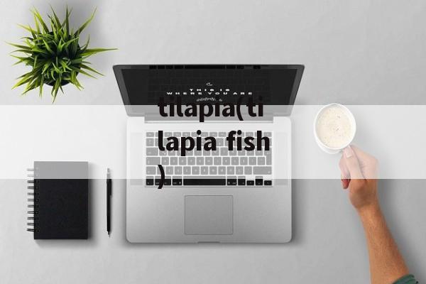 tilapia(tilapia fish)-第1张图片-