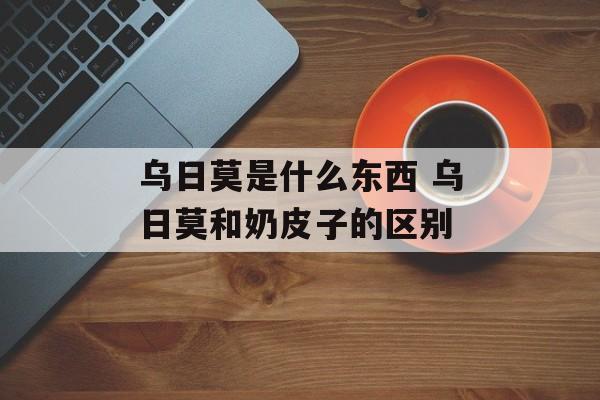 乌日莫是什么东西 乌日莫和奶皮子的区别-第1张图片-