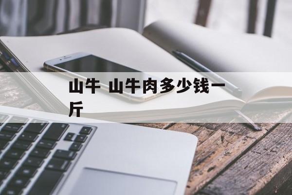 山牛 山牛肉多少钱一斤-第1张图片-