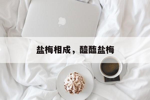 盐梅相成，醯醢盐梅-第1张图片-
