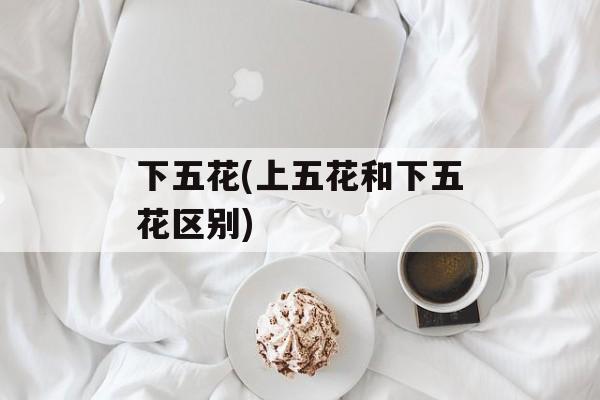 下五花(上五花和下五花区别)-第1张图片-