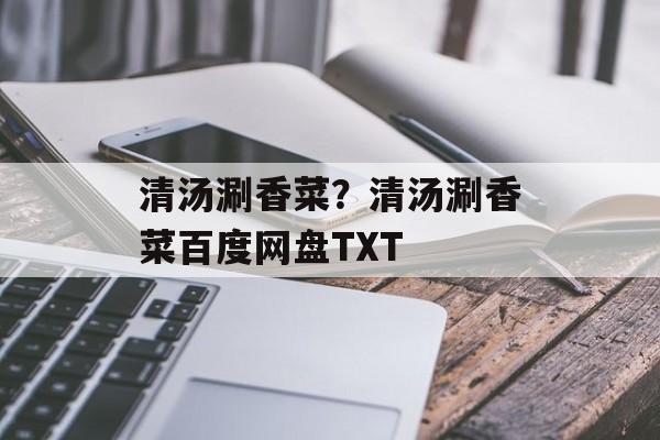 清汤涮香菜？清汤涮香菜百度网盘TXT-第1张图片-