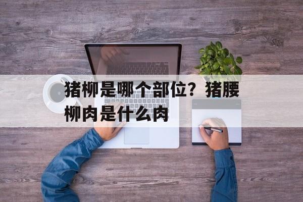 猪柳是哪个部位？猪腰柳肉是什么肉-第1张图片-