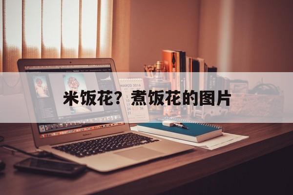 米饭花？煮饭花的图片-第1张图片-